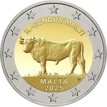 2025 – Maltesisches Rind v0